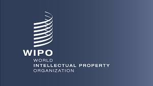 WIPO Conference